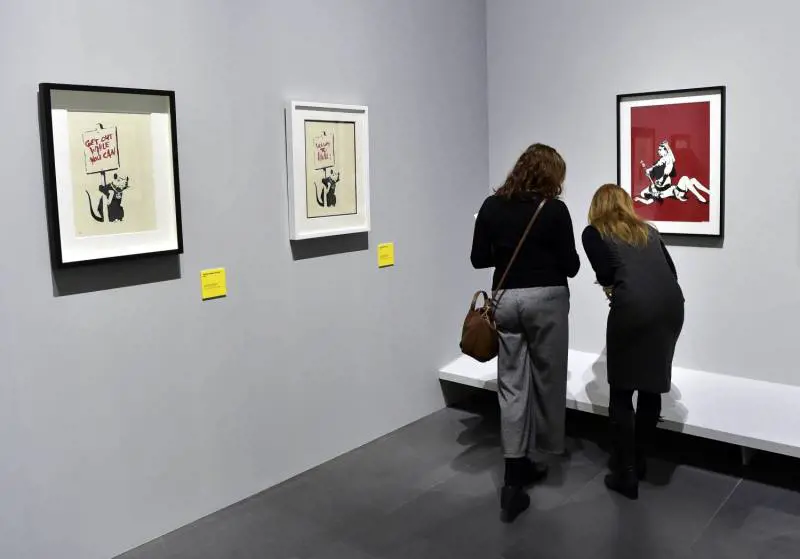 Immagine gallery
