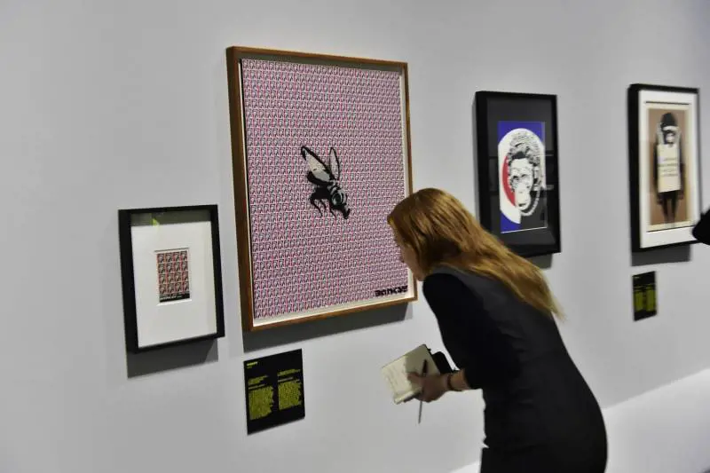 Immagine gallery