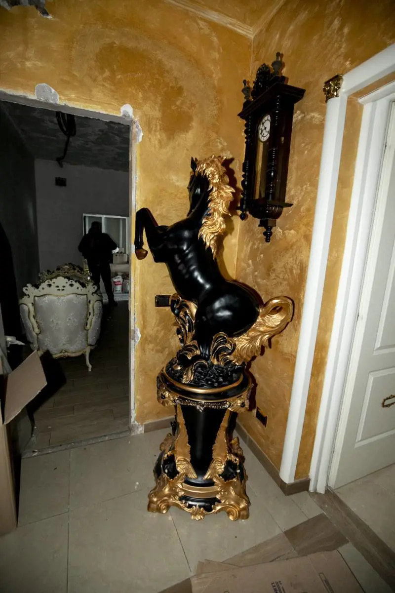 Immagine gallery