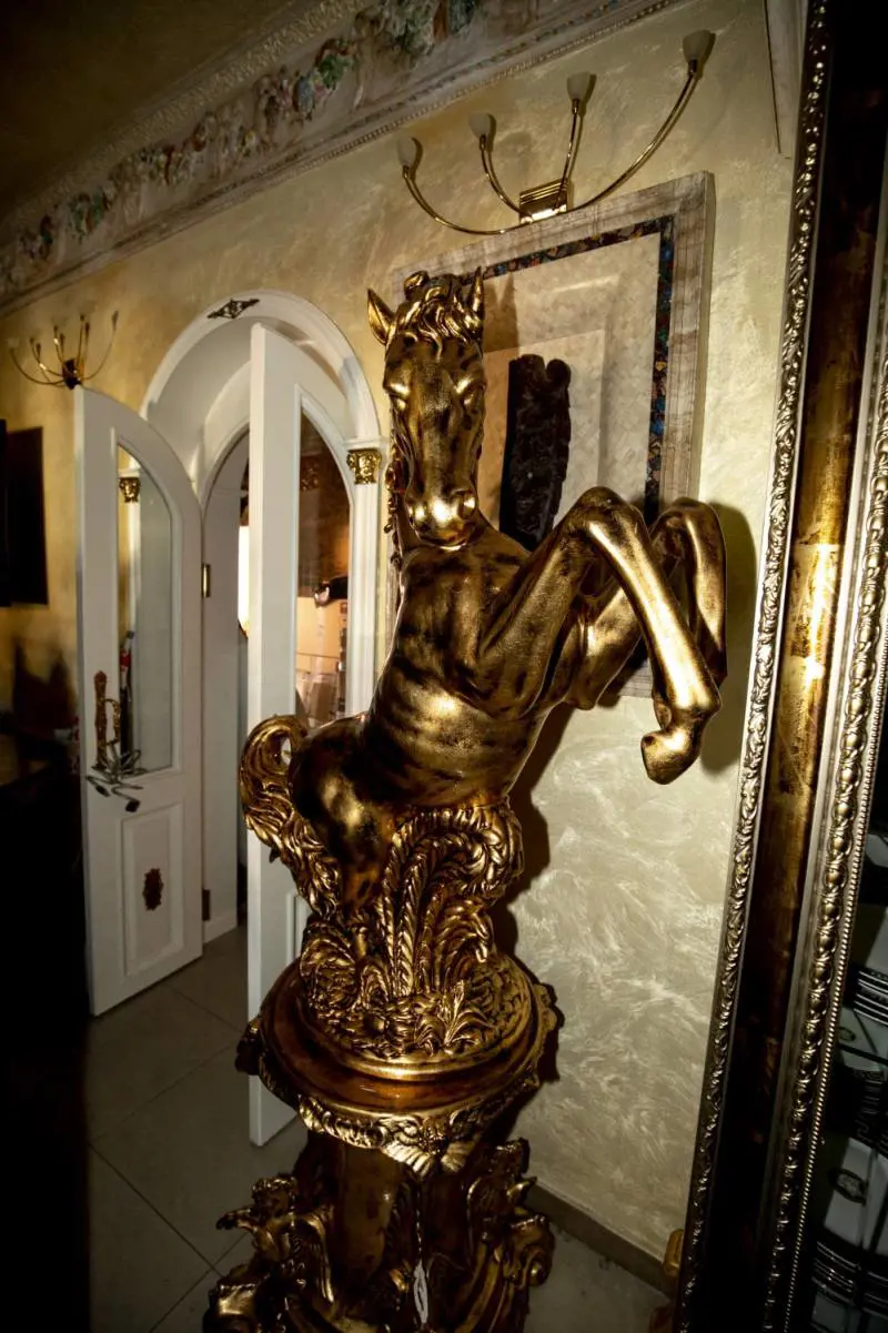 Immagine gallery