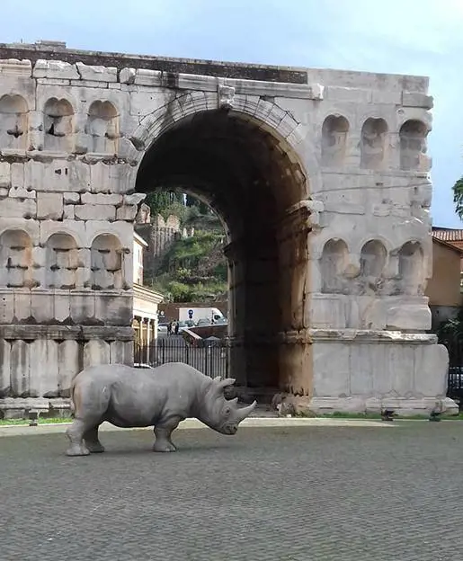 Quella strana storia del rinoceronte dimenticato tra i monumenti di Roma