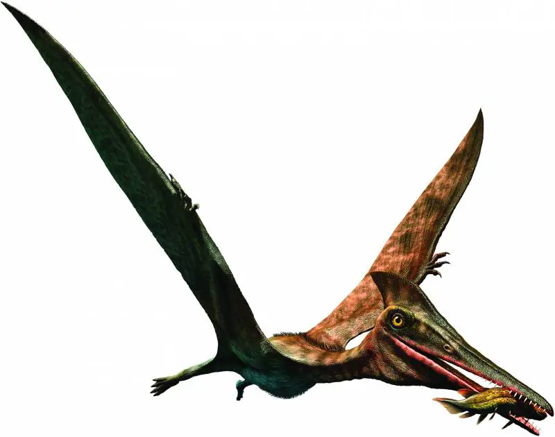 "Piume e denti giganti: l'impero dei dinosauri"