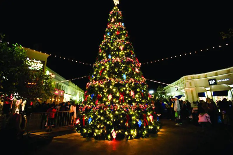 Rimini, troppe multe ai clienti: l'edicolante le paga e le appende all'albero di Natale