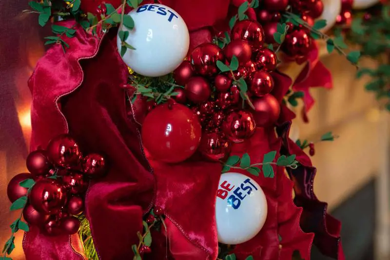 Ecco l'albero di Natale a prova di gatto