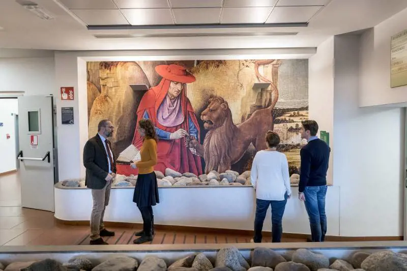 Immagine gallery