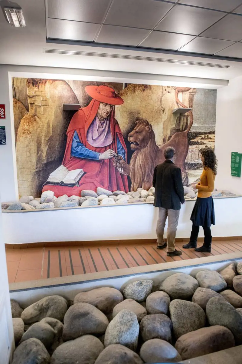 Immagine gallery