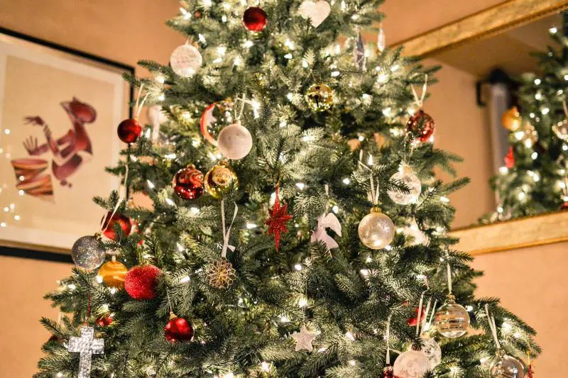 Come scegliere il miglior albero di Natale