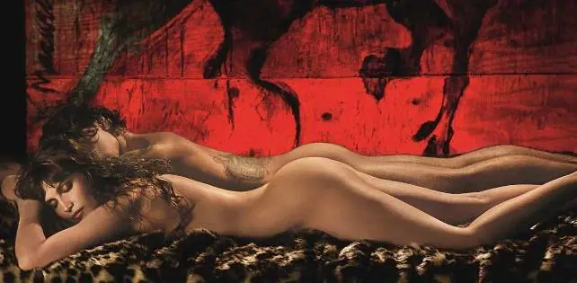 Immagine gallery