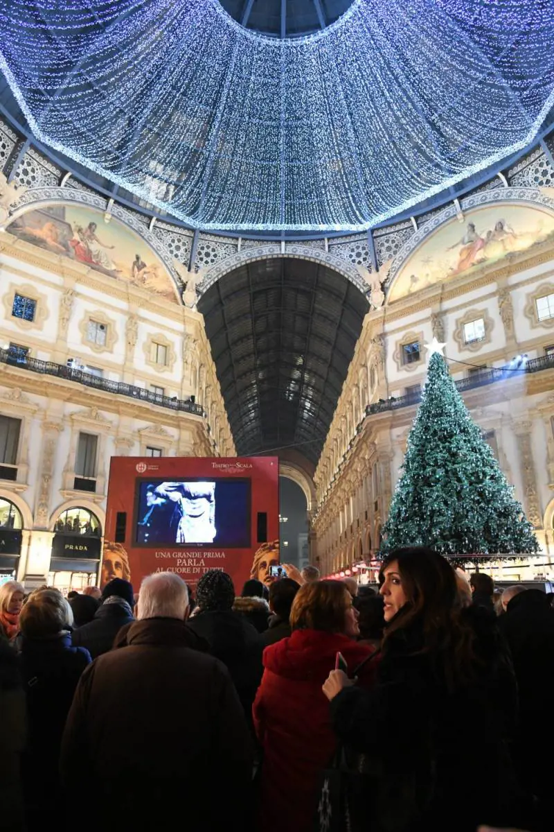 Immagine gallery