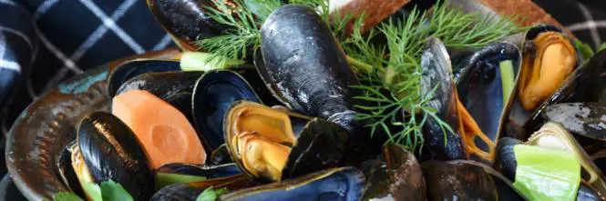 Allerta su cozze contaminate da tossine