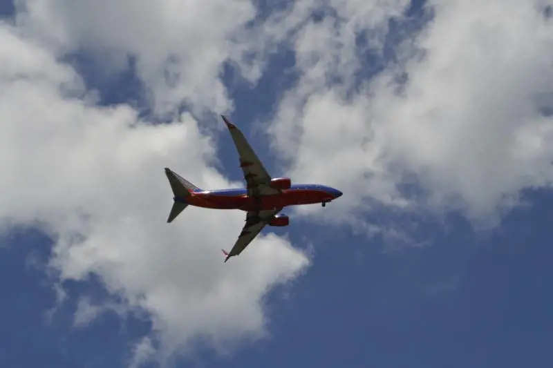 Dimenticano cuore umano in aereo: scoppia il caos