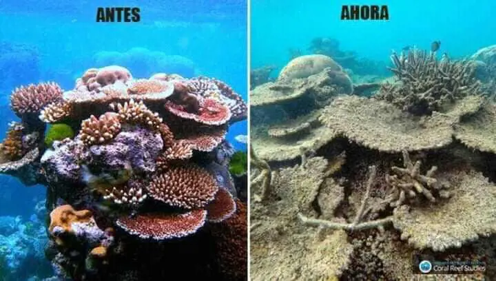 La #10yearschallenge che guarda all'ambiente: ecco com'è cambiato