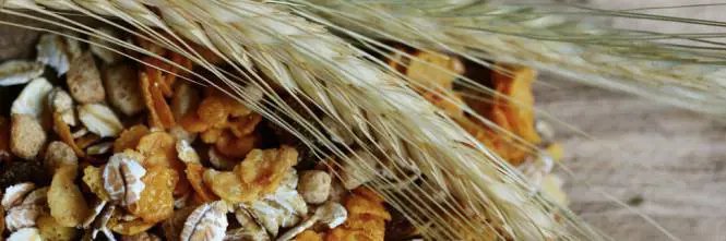 Fibre, 30 grammi al giorno riducono il rischio di diabete e infarto