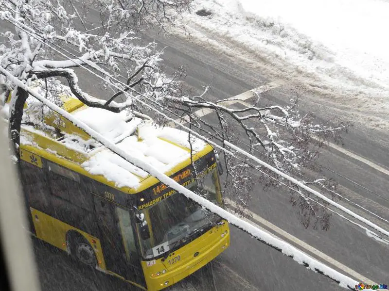 Iryna, cacciata dal bus perché non ha il biglietto: così è morta congelata
