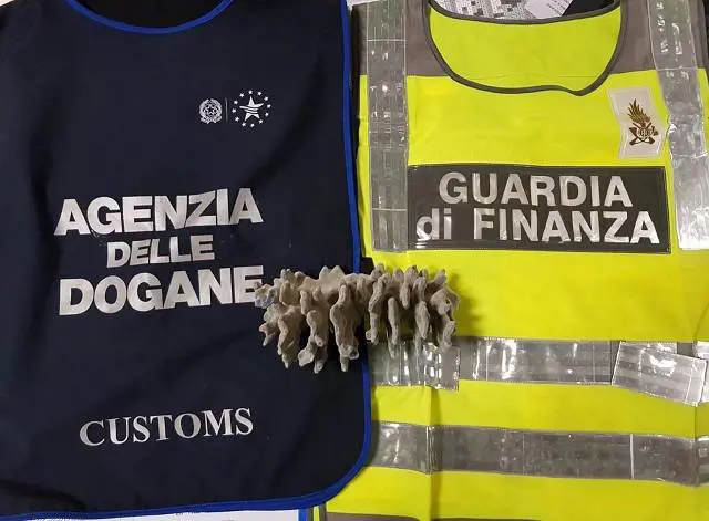 In aeroporto col corallo protetto, rischia maxisanzione