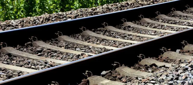 Marocchino senza biglietto aggredisce capotreno: fermato e subito liberato