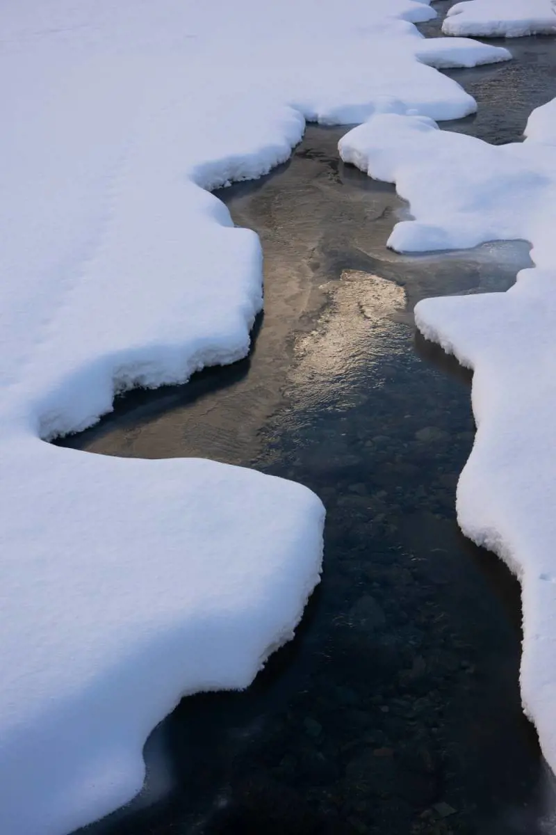 Immagine gallery