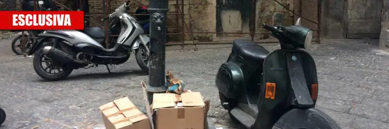 "Noi, ostaggio di degrado e topi nel centro antico di Napoli"