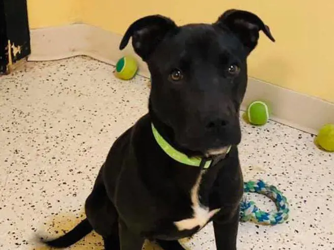 Rudolph e la sua voglia di vivere oltre la morte