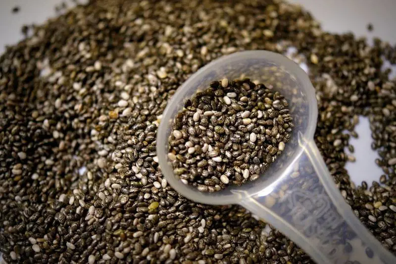Semi di chia. Proprietà e benefici di questa antichissima pianta
