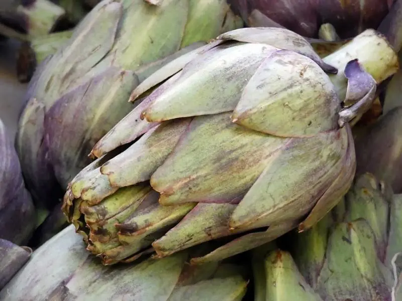 I carciofi, grandi alleati della nostra salute