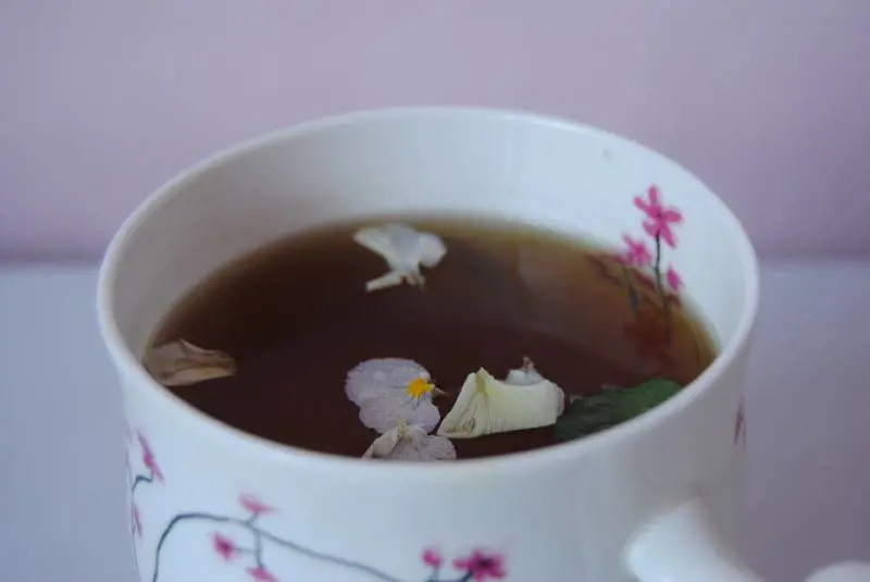 Le tisane drenanti: tutti gli usi e benefici
