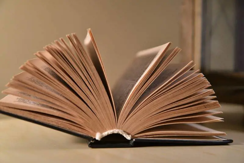 Non ci sono più le scrittrici di una volta. Ecco com'erano