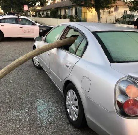 Parcheggia davanti all'idrante: i vigili del fuoco gli devastano l'auto