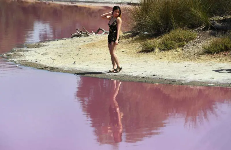Immagine gallery