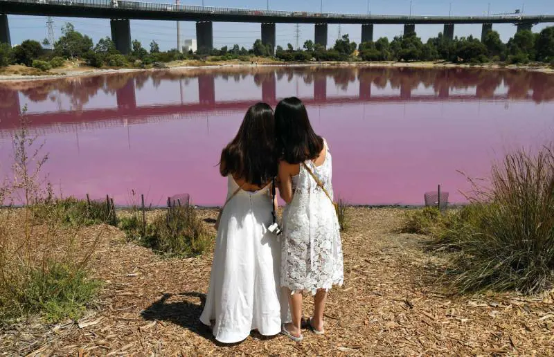 Immagine gallery