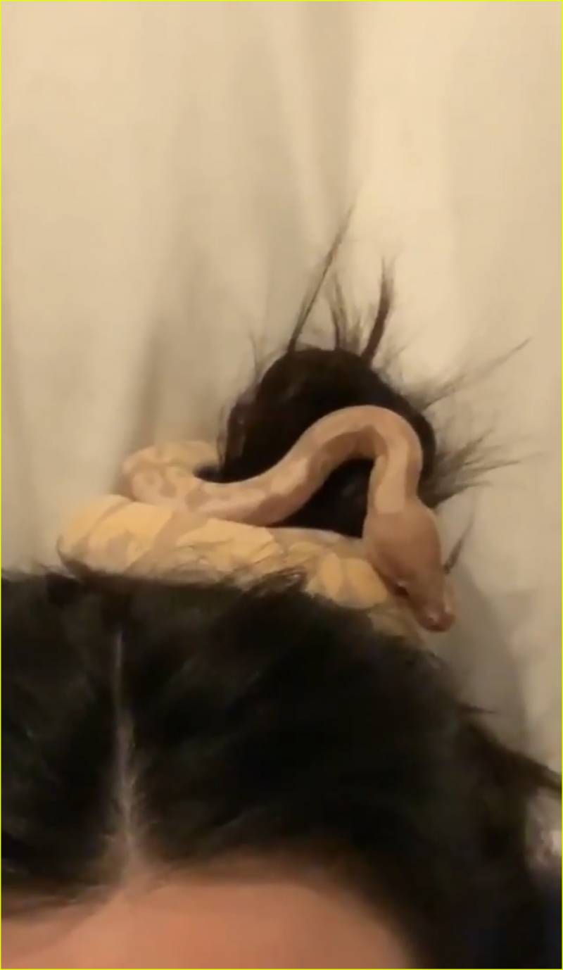 Kendall Jenner serpente