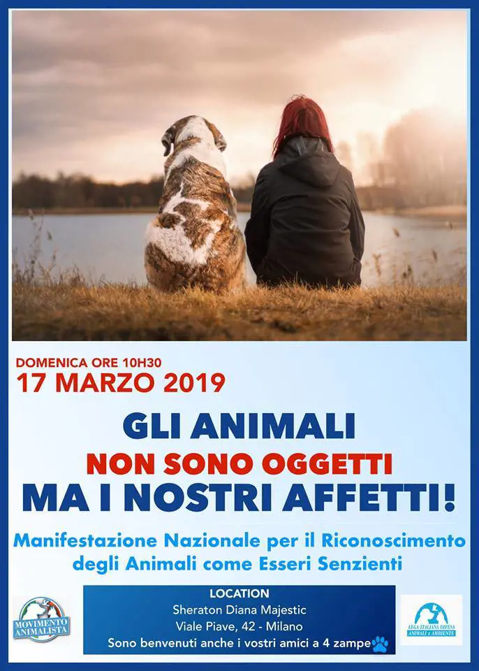 Brambilla: "Gli animali non sono oggetti ma i nostri affetti"