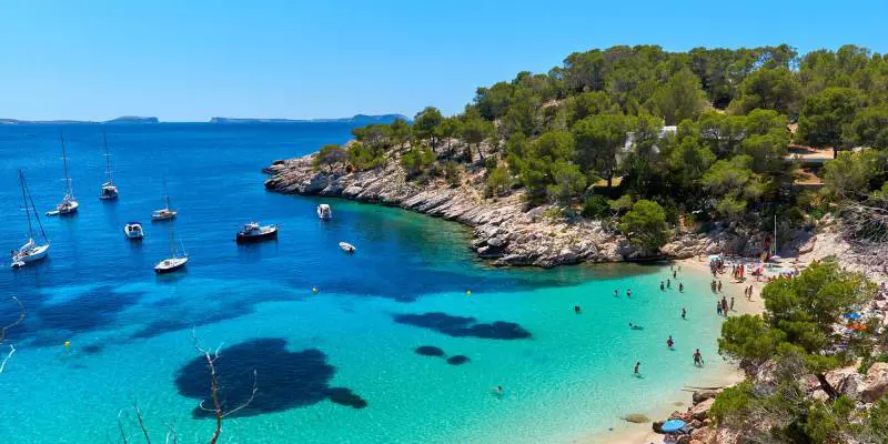 L'azienda ha ottimi risultati? Il capo porta tutti a Ibiza