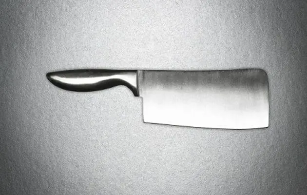 Madre severa gli uccide il cane, 13enne la massacra con una mannaia