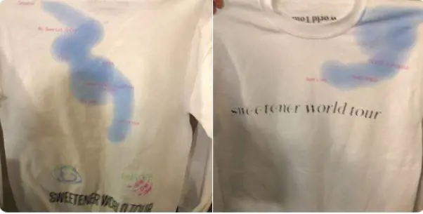 "Sembra un pene...". I social si scatenano sulle magliette di Ariana Grande