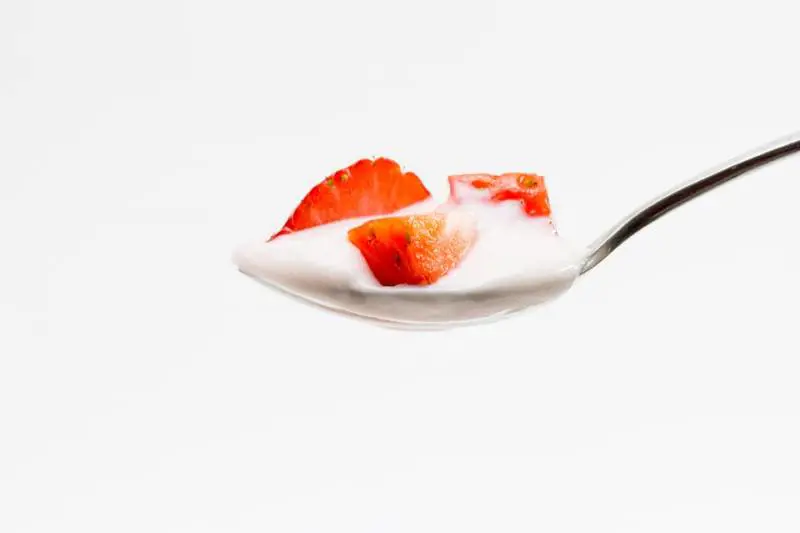 Cibi fermentati,  quali sono e a cosa servono