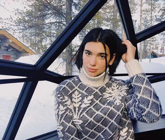 Dua Lipa attaccata sui social: "Sfrutti gli animali per divertirti"