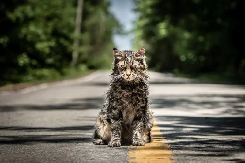 Pet Sematary, il trailer definitivo del film tratto dal libro di Stephen King