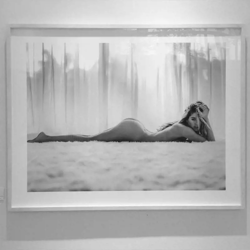 Immagine gallery