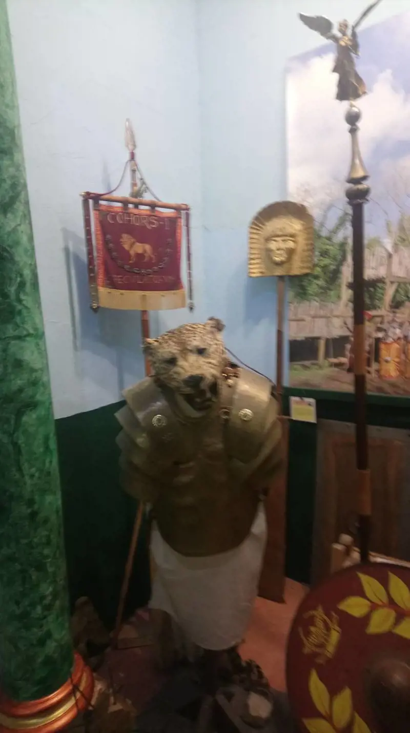 Immagine gallery