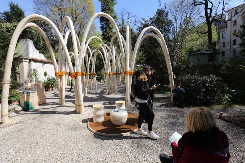 Opere con i funghi e olio carburante così rivivranno anche i nostri rifiuti