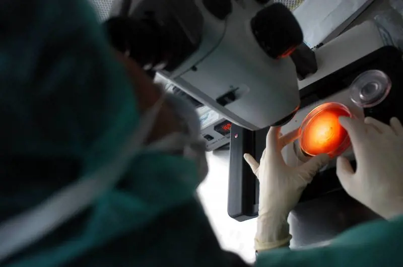 Entro il 2035 saranno aboliti i test sugli animali