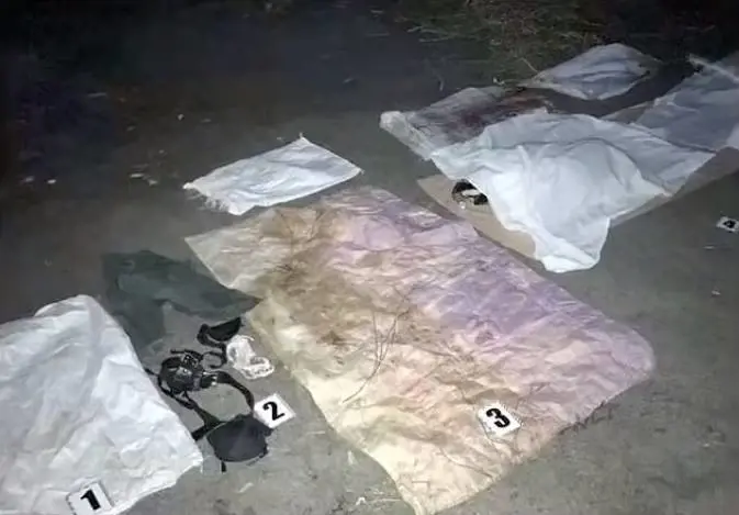 Scopre di essere andato a letto con una trans: la uccide, la fa a pezzi e la cucina