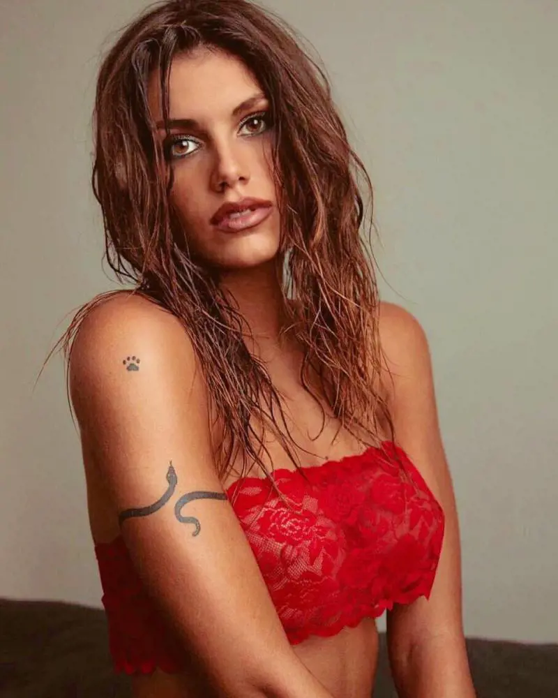 Immagine gallery