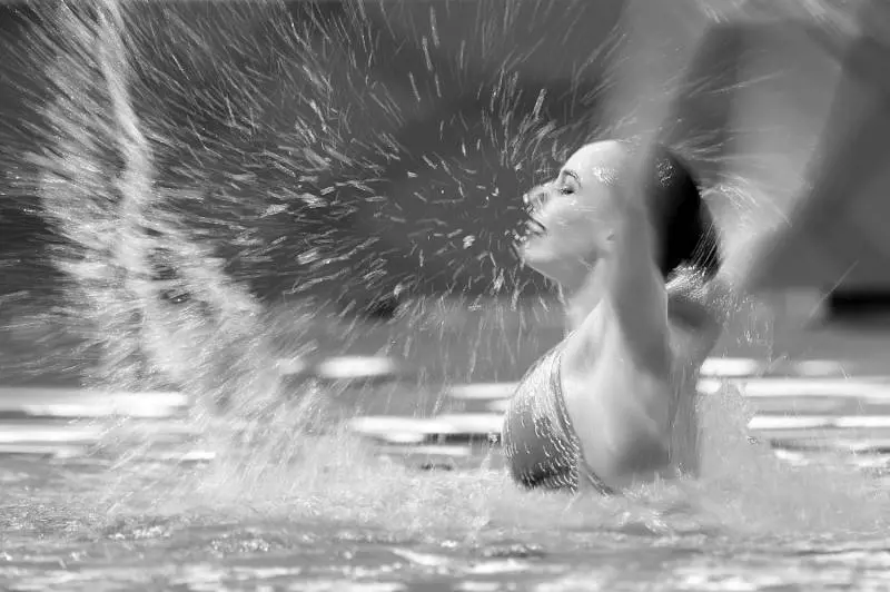 Immagine gallery