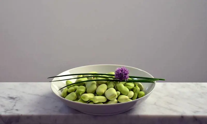 Tutti i benefici delle fave fresche