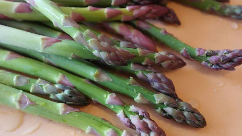 Asparagi, sono antiossidanti e aiutano a combattere la cellulite