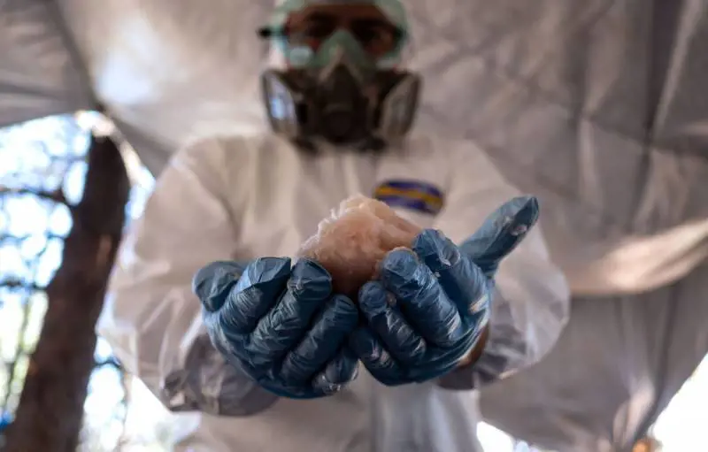 Stati Uniti, professori di chimica accusati di produrre metanfetamina nel laboratorio della scuola