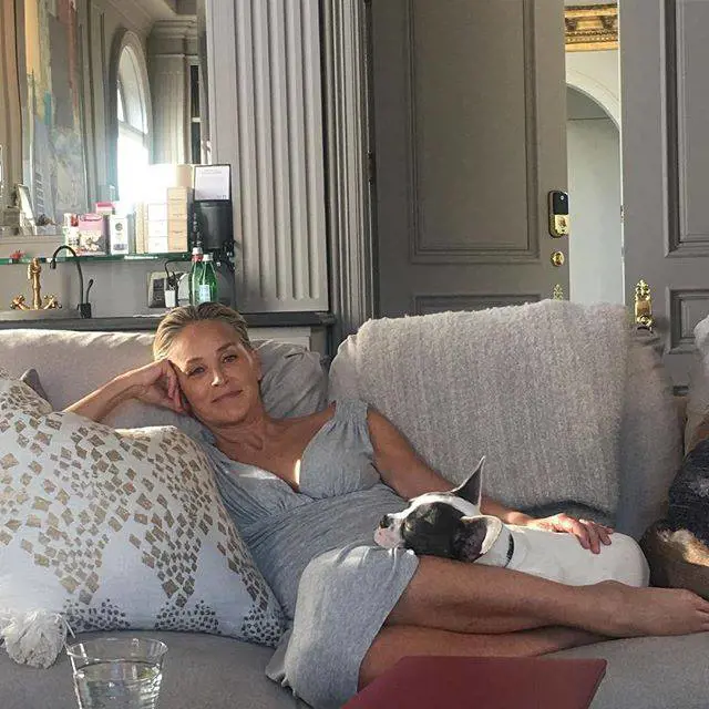 Sharon Stone: "Io, dimenticata come Lady Diana"