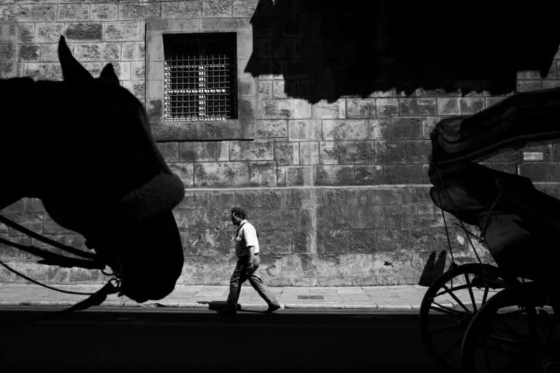 Immagine gallery